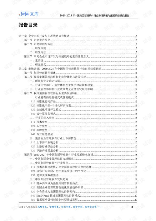 2021-2025年中國(guó)集團(tuán)管理軟件與教育軟件行業(yè)市場(chǎng)開發(fā)與拓展戰(zhàn)略研究